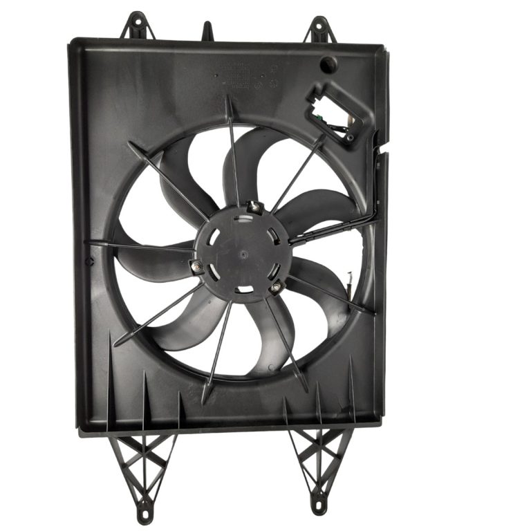 WhatsApp Image 2025-11-17 at 11.31.51